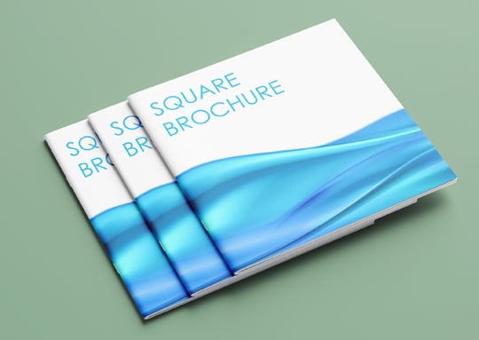 Brochures - Image 7